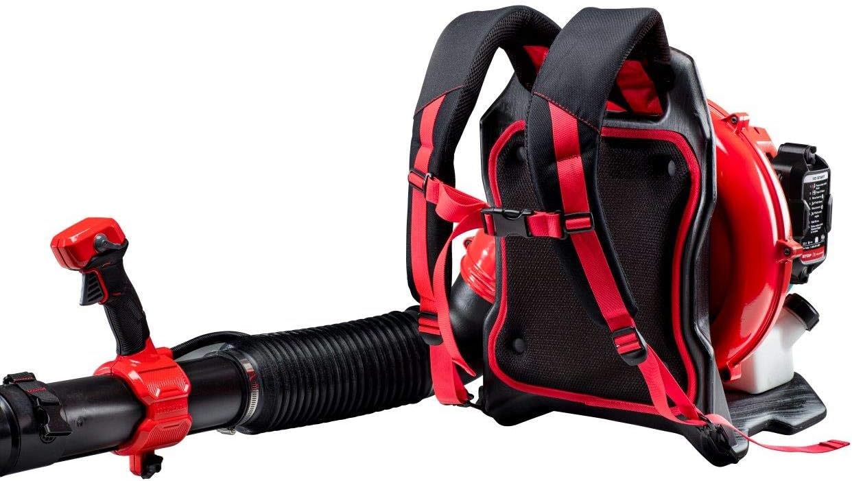 CRAFTSMAN Gas Powered Backpack Leaf Blower, Lightweight Backpack Blower, 220MPH, 51cc, 2-Cycle (CMXGAAMR51BP)2