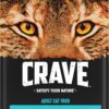 CRAVE Grain Free Adult High Protein Natural Dry Cat Food with Protein from Salmon & Ocean Fish, 10 lb. Bag