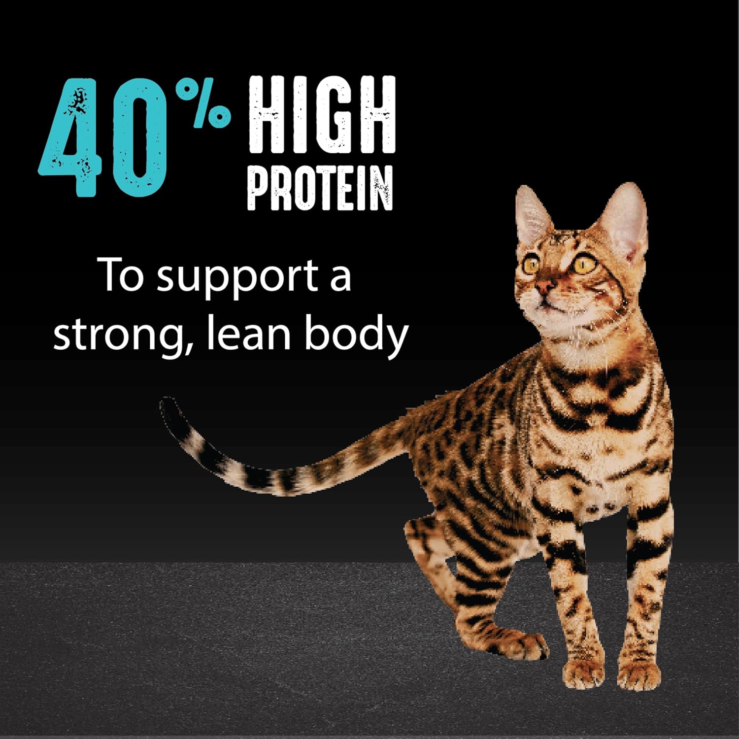 CRAVE Grain Free Adult High Protein Natural Dry Cat Food with Protein from Salmon & Ocean Fish, 10 lb. Bag5