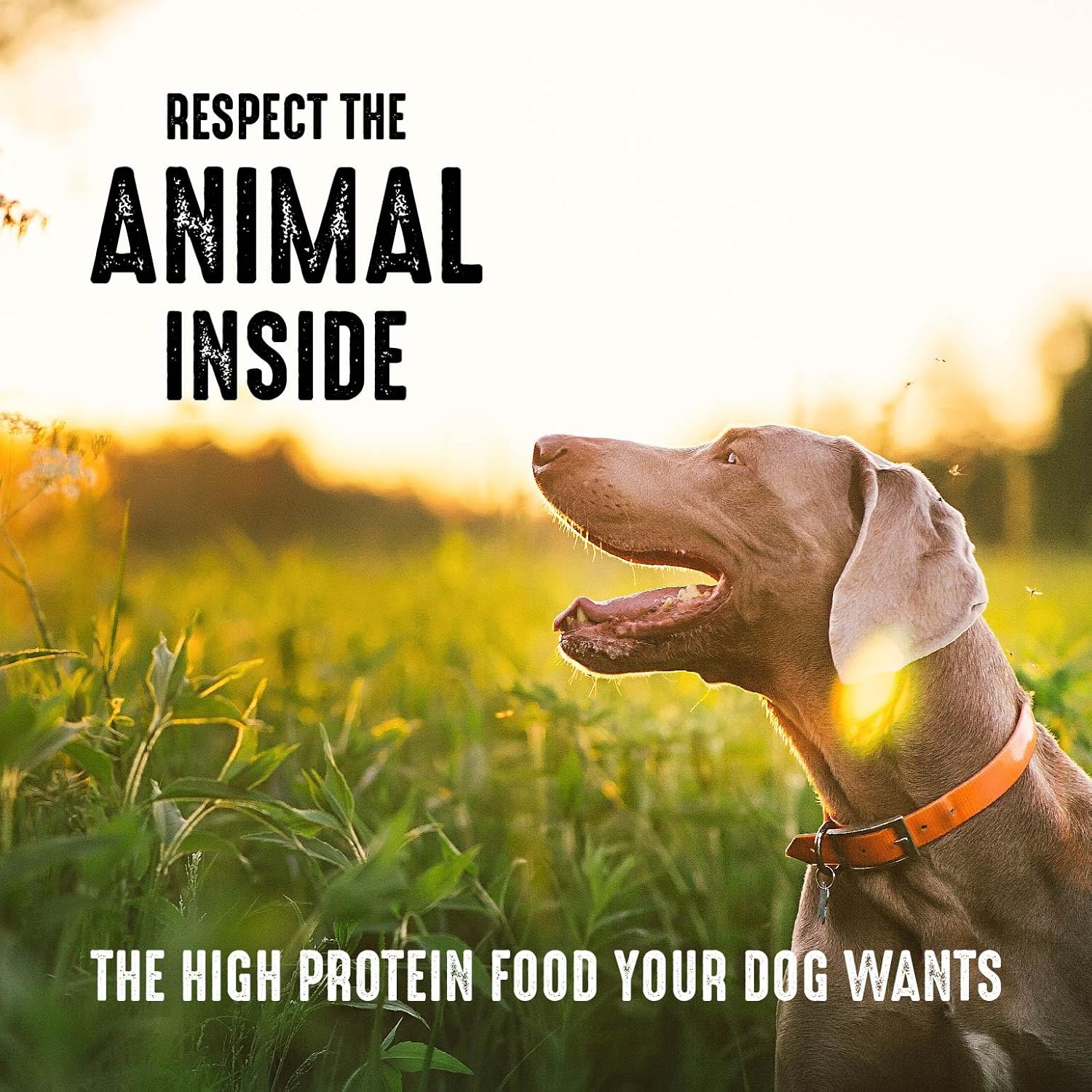 CRAVE Grain Free High Protein Adult Dry Dog Food with Lamb, 12 lb. Bag8