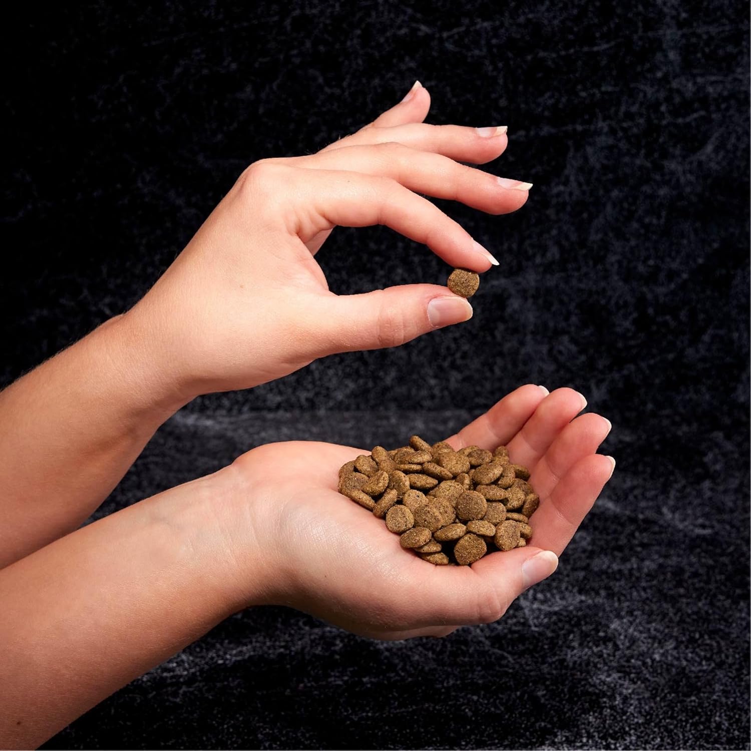 CRAVE Grain Free Indoor Adult High Protein Natural Dry Cat Food with Protein from Chicken & Salmon, 10 lb. Bag-