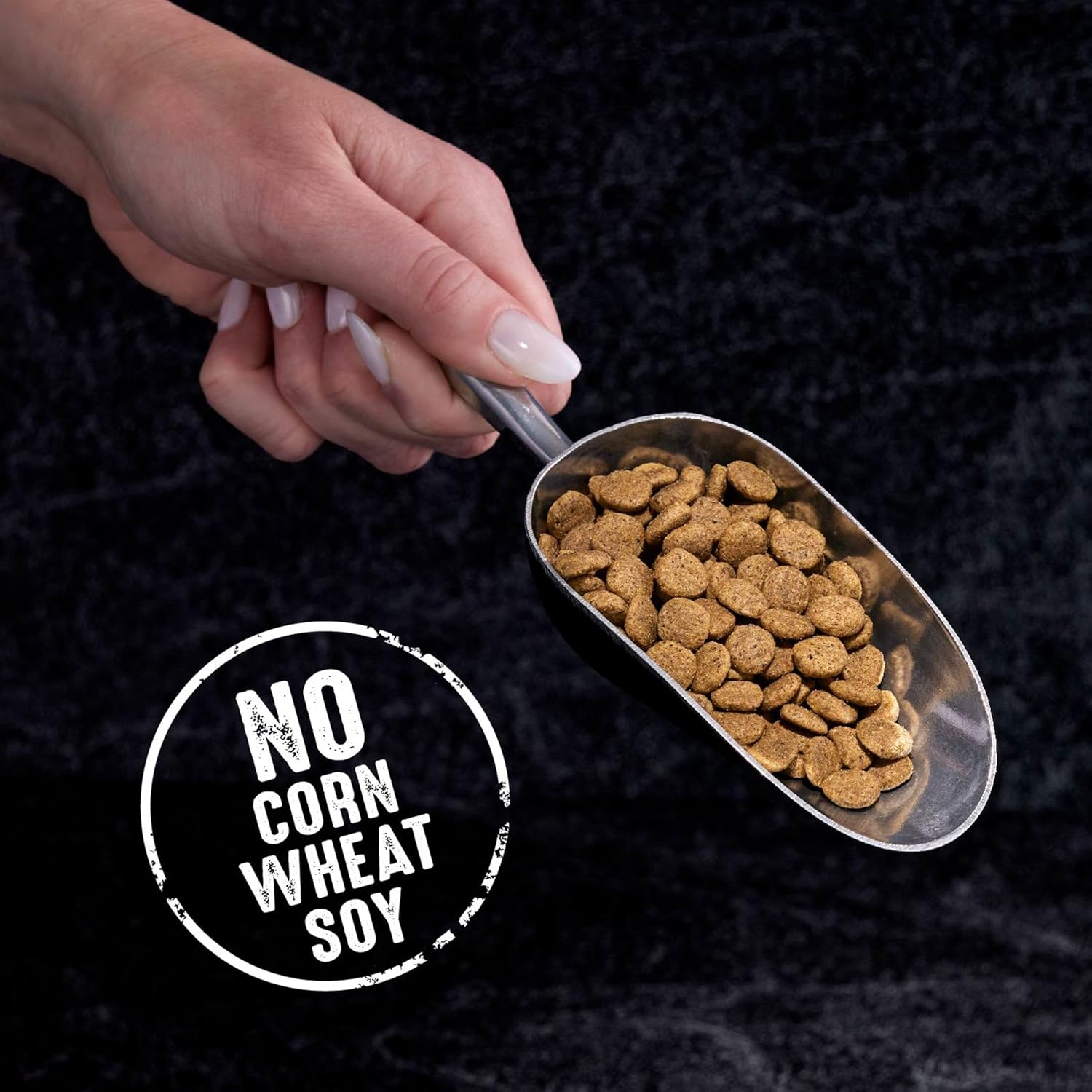 CRAVE Grain Free Indoor Adult High Protein Natural Dry Cat Food with Protein from Chicken & Salmon, 10 lb. Bag0