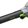 EGO POWER+ Leaf Blower, Cordless Electric 670 CFM, Includes 56V 4.0Ah Battery and Charger - LB6703