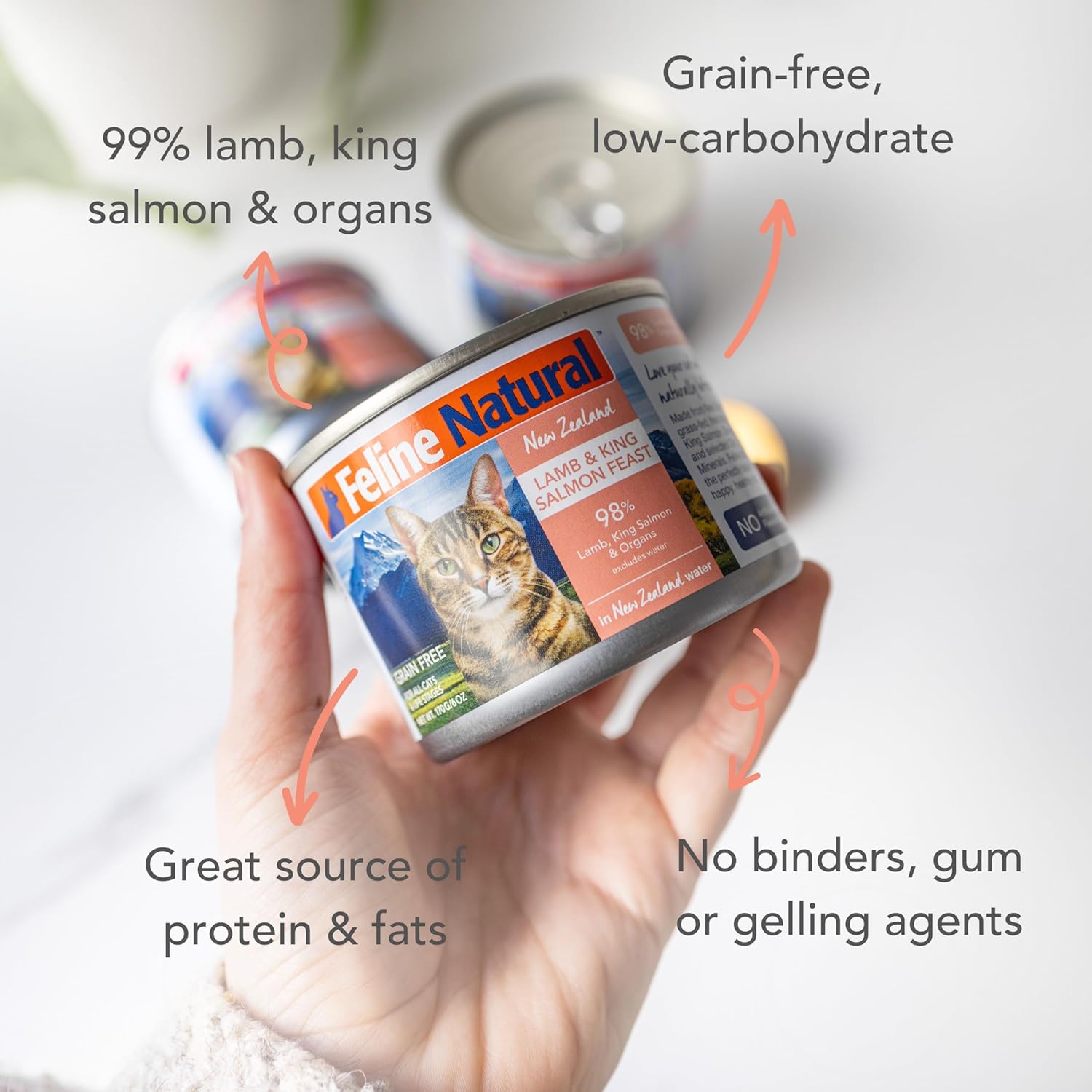Feline Natural Wet Cat Food Pate, Lamb & King Salmon Feast, 6 Oz Cans (Pack of 12), Grain Free, Made in New Zealand with Grass-Fed, Free-Range Lamb and Sustainably Caught King Salmon1