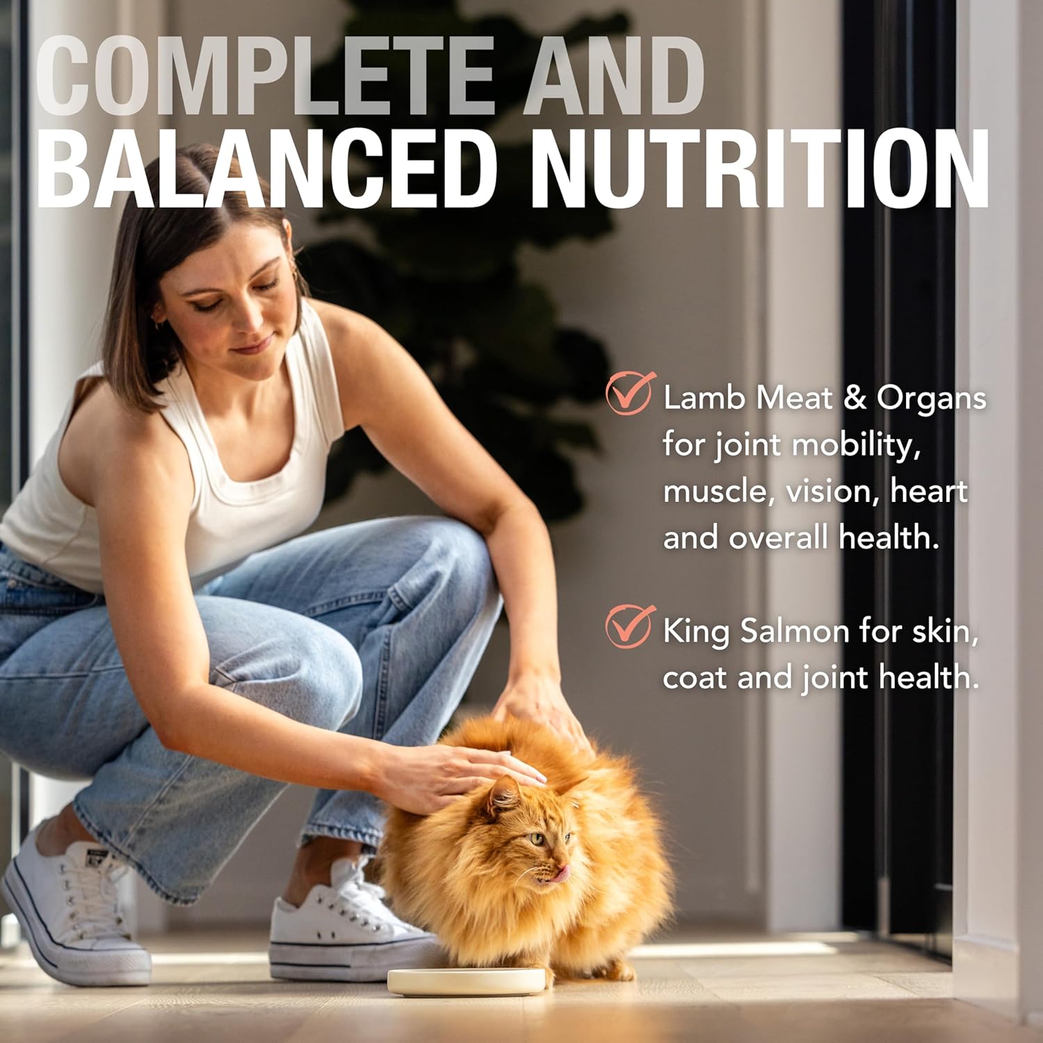 Feline Natural Wet Cat Food Pate, Lamb & King Salmon Feast, 6 Oz Cans (Pack of 12), Grain Free, Made in New Zealand with Grass-Fed, Free-Range Lamb and Sustainably Caught King Salmon3