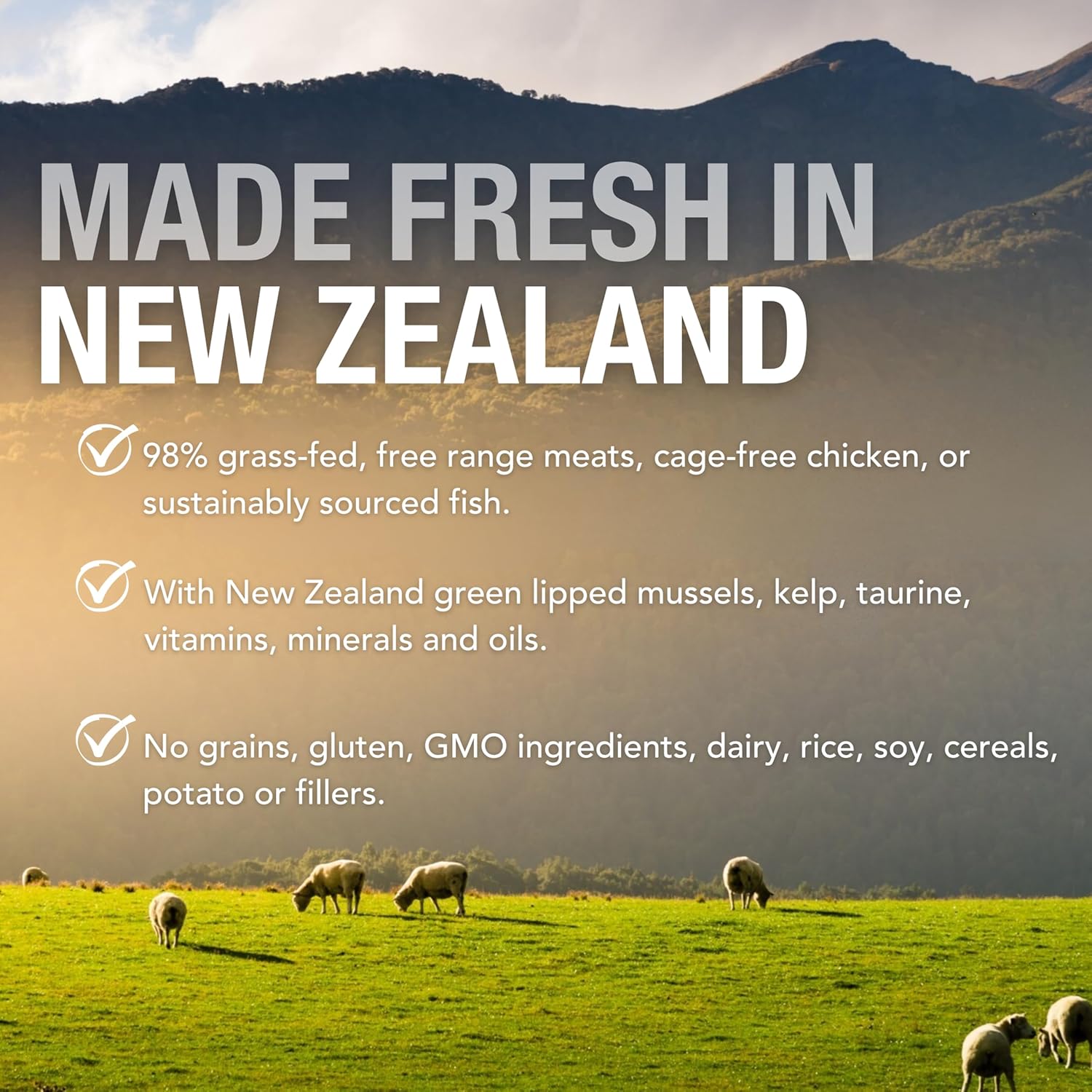 Feline Natural Wet Cat Food Pate, Lamb & King Salmon Feast, 6 Oz Cans (Pack of 12), Grain Free, Made in New Zealand with Grass-Fed, Free-Range Lamb and Sustainably Caught King Salmon8