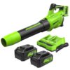 Greenworks BL48L4410 24-volt 585-CFM 140-MPH Battery Handheld Leaf Blower 4 Ah (Battery and Charger Included)