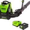 Greenworks BPB80L2510 80V (180 MPH / 610 CFM / 75+ Compatible Tools) Cordless Brushless Backpack Blower, 2.5Ah Battery and Rapid Charger Included, Green/Black