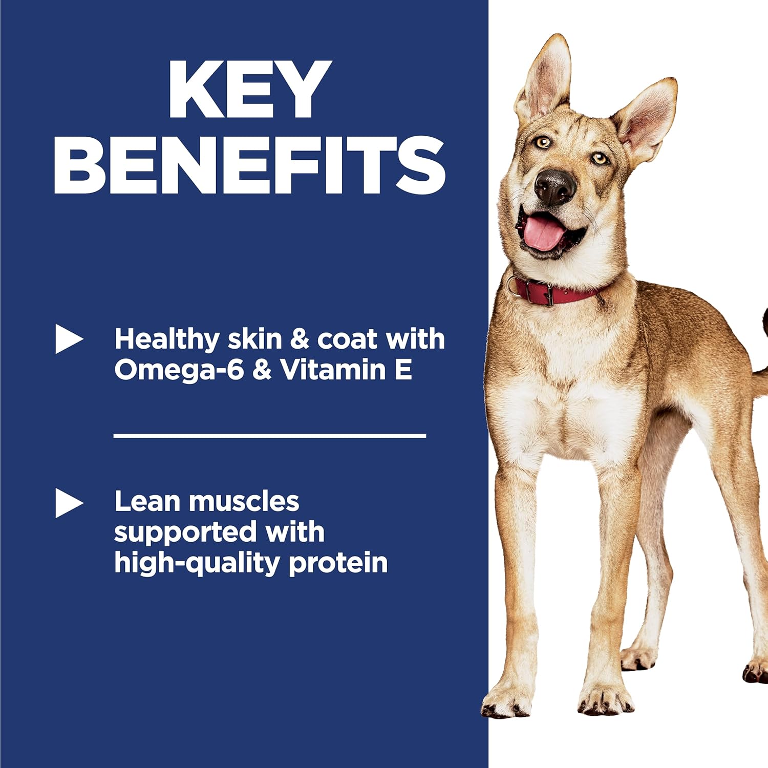 Hill's Science Diet Adult 1-6, Adult 1-6 Premium Nutrition, Dry Dog Food, Chicken & Barley, 45 lb Bag4