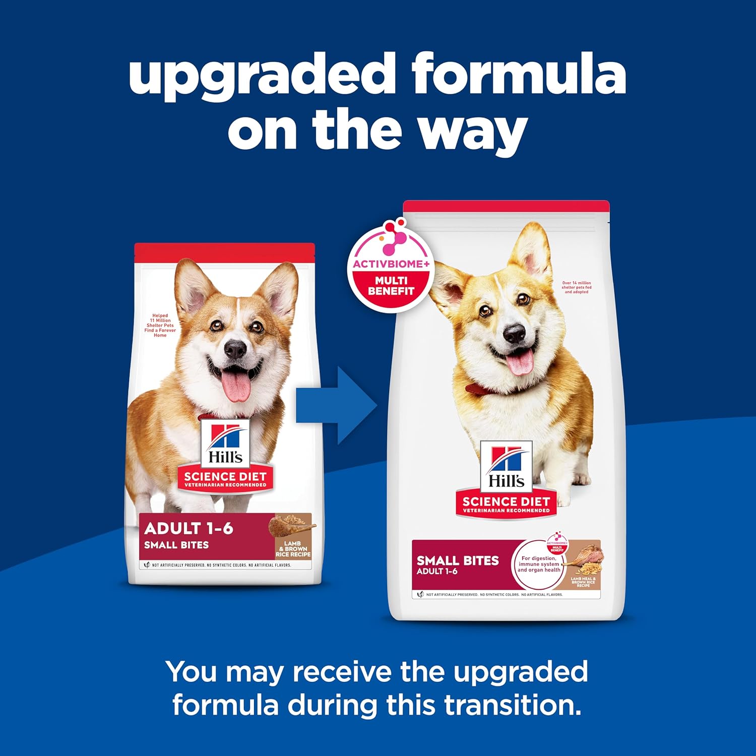 Hill's Science Diet Adult 1-6, Adult 1-6 Premium Nutrition, Small Kibble, Dry Dog Food, Lamb & Brown Rice, 15.5 lb Bag1