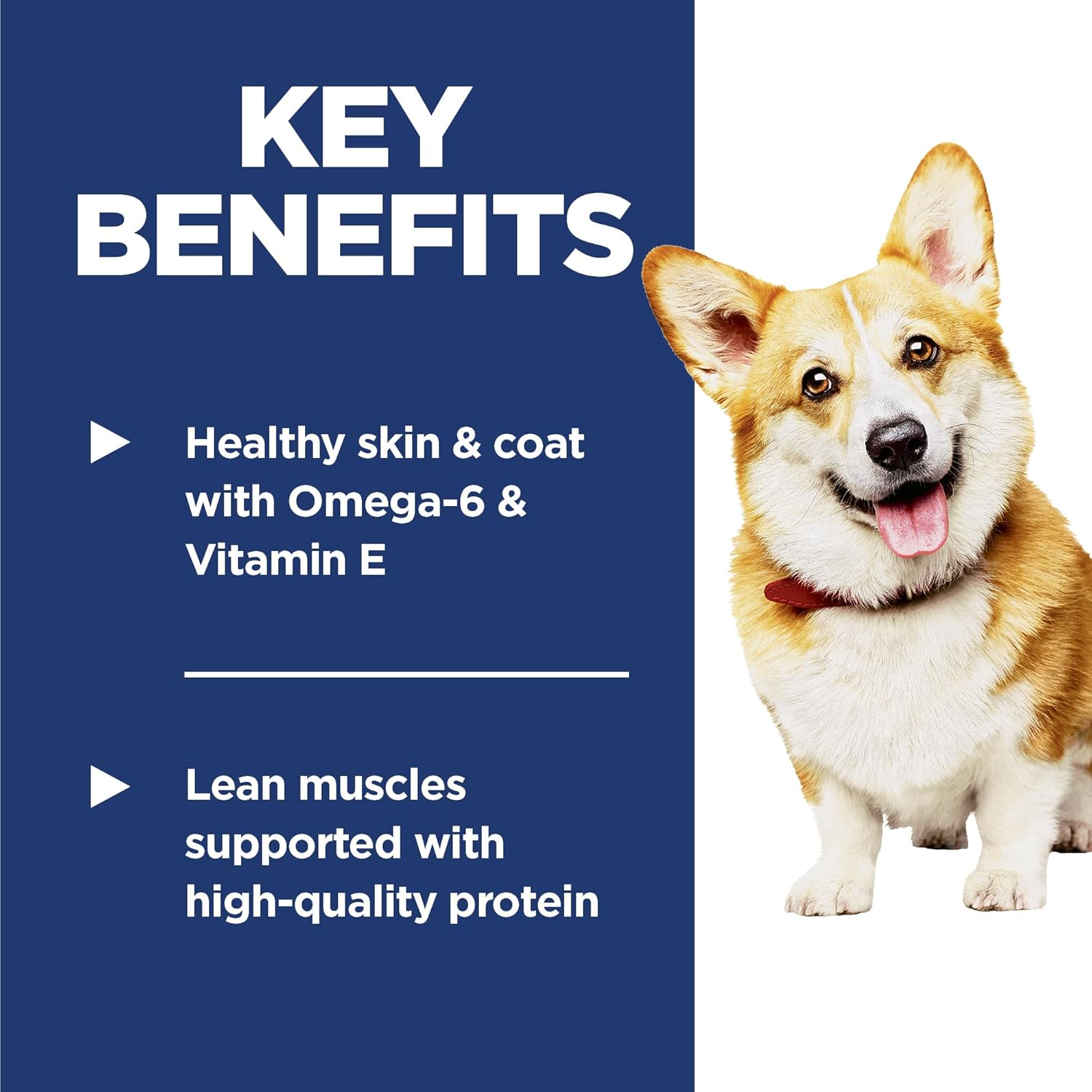 Hill's Science Diet Adult 1-6, Adult 1-6 Premium Nutrition, Small Kibble, Dry Dog Food, Lamb & Brown Rice, 15.5 lb Bag5