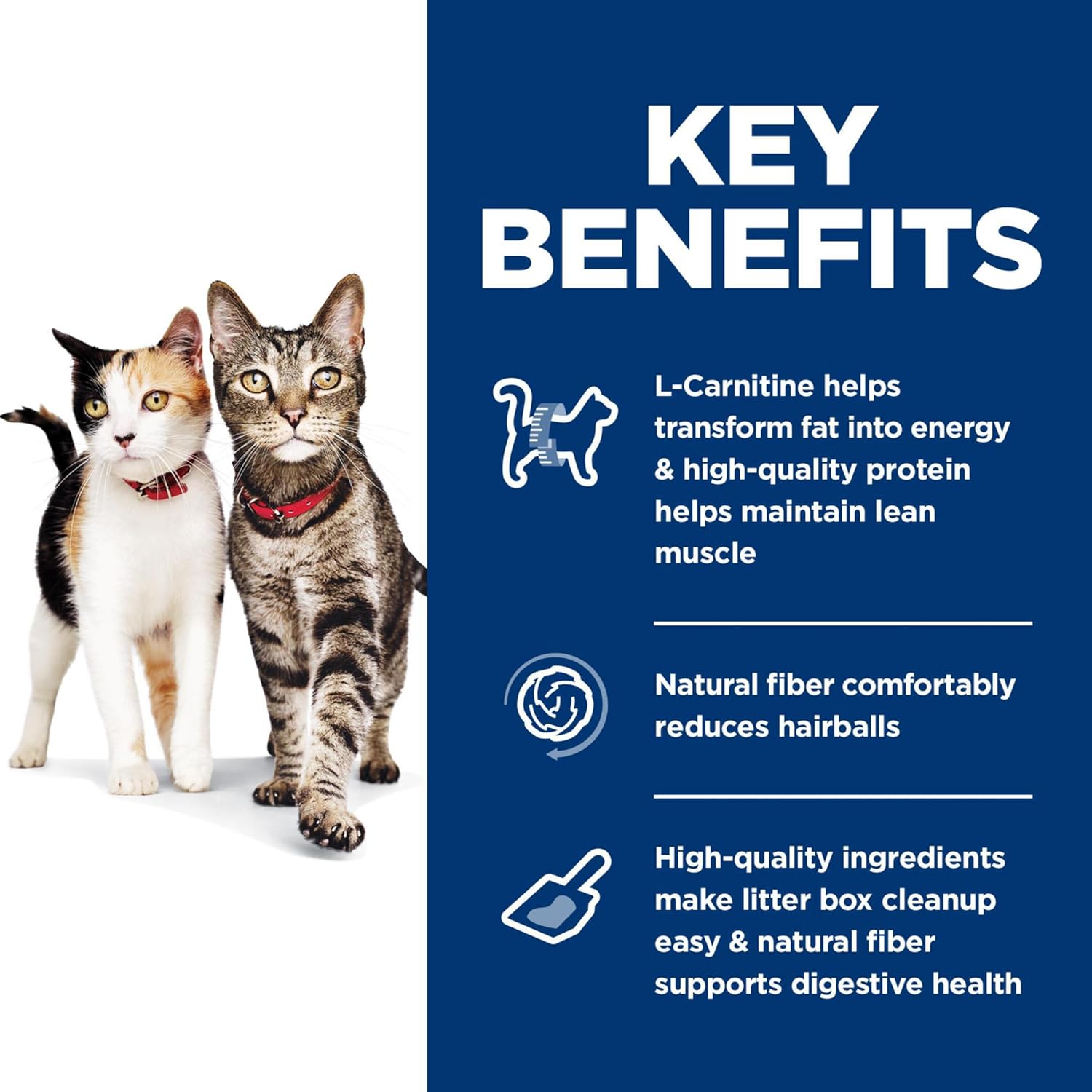Hill's Science Diet Multi-Benefit, Adult 1-6, Multiple Benefit, Dry Cat Food, Chicken Recipe, 15.5 lb Bag6