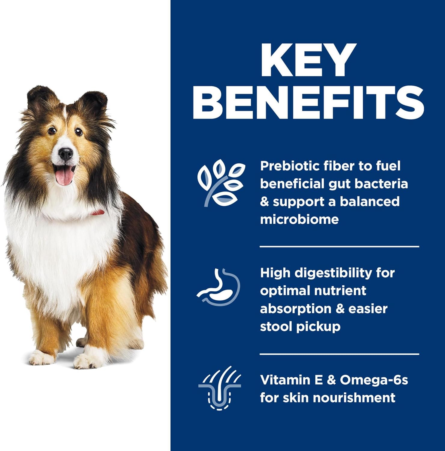 Hill's Science Diet Sensitive Stomach & Skin, Adult 1-6, Stomach & Skin Sensitivity Support, Dry Dog Food, Chicken Recipe, 30 lb Bag6