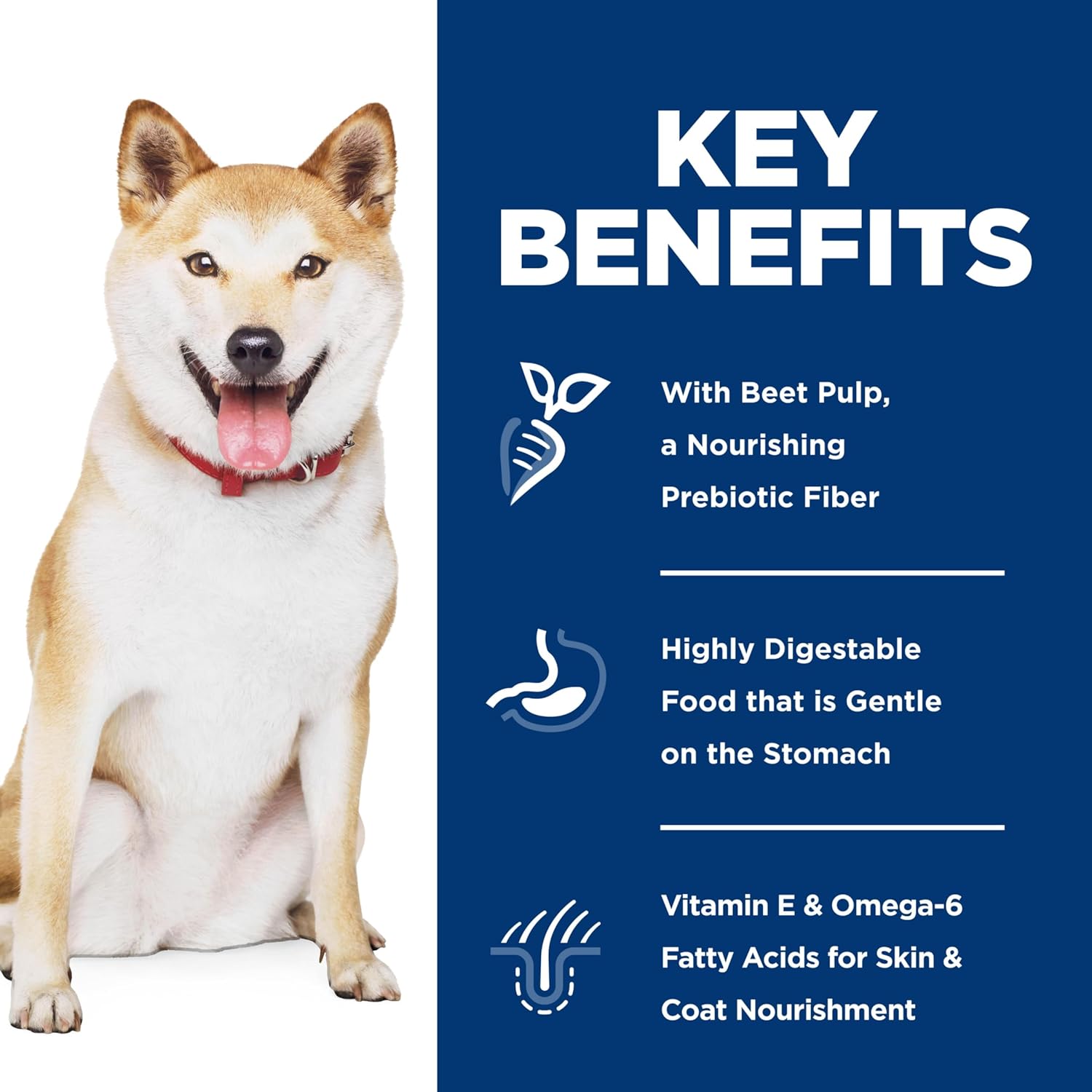 Hill's Science Diet Sensitive Stomach & Skin, Adult 1-6, Stomach & Skin Sensitivity Support, Dry Dog Food, Pollock, Barley, & Insect Recipe, 12 lb Bag4