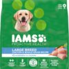 IAMS Adult High Protein Large Breed Dry Dog Food with Real Chicken, 30 lb. Bag