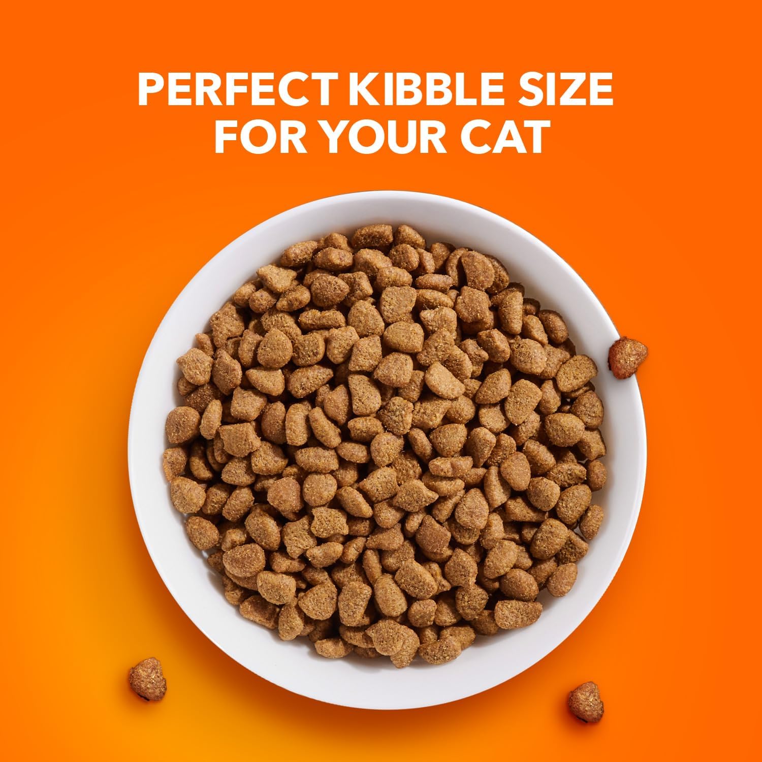 IAMS Proactive Health Adult Urinary Tract Healthy Dry Cat Food with Chicken, 16 lb. Bag6