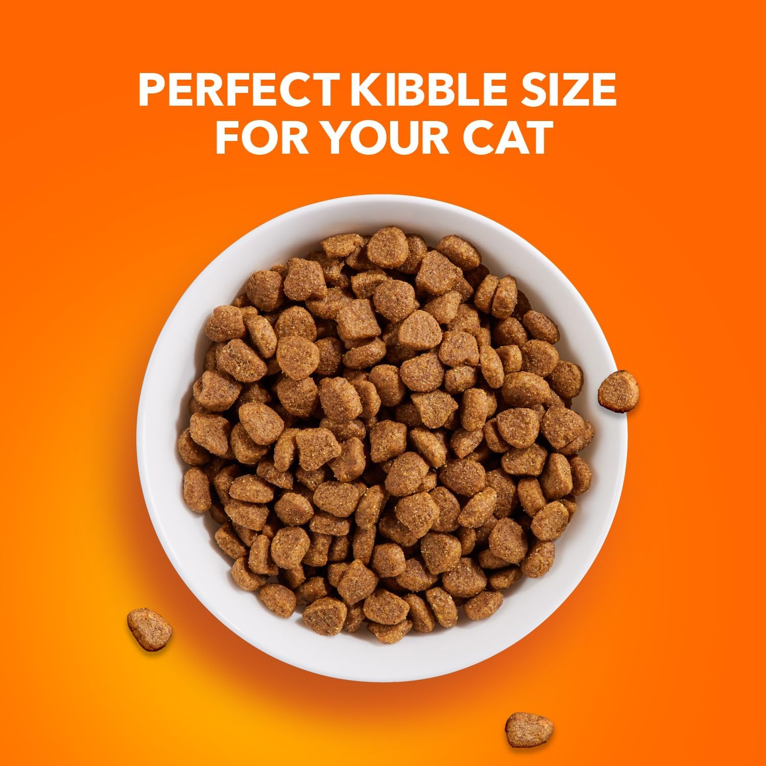 IAMS Proactive Health Healthy Adult Dry Cat Food with Chicken, 22 lb. Bag9
