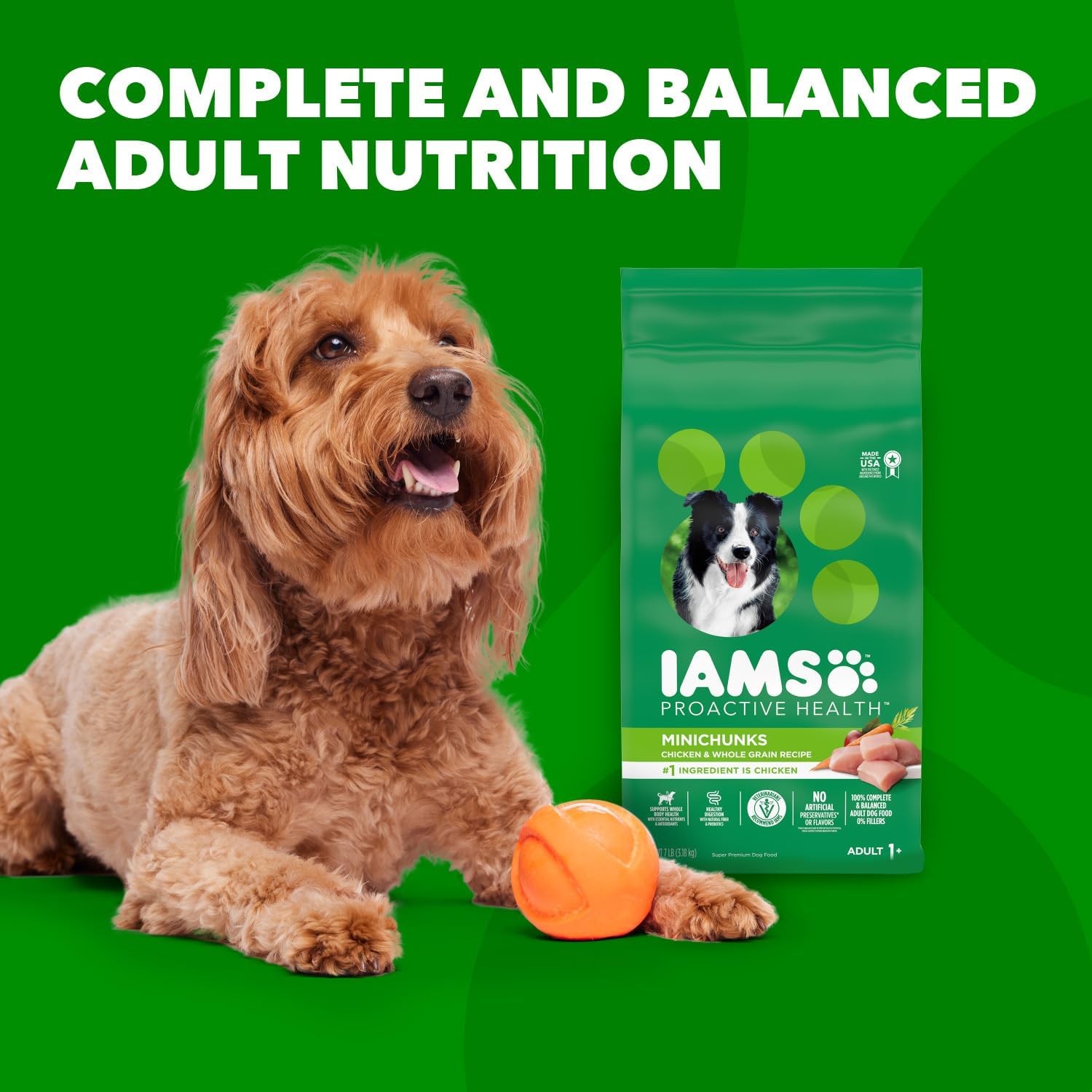 IAMS Proactive Health Minichunks Adult Dry Dog Food with Real Chicken, 30 lb. Bag0
