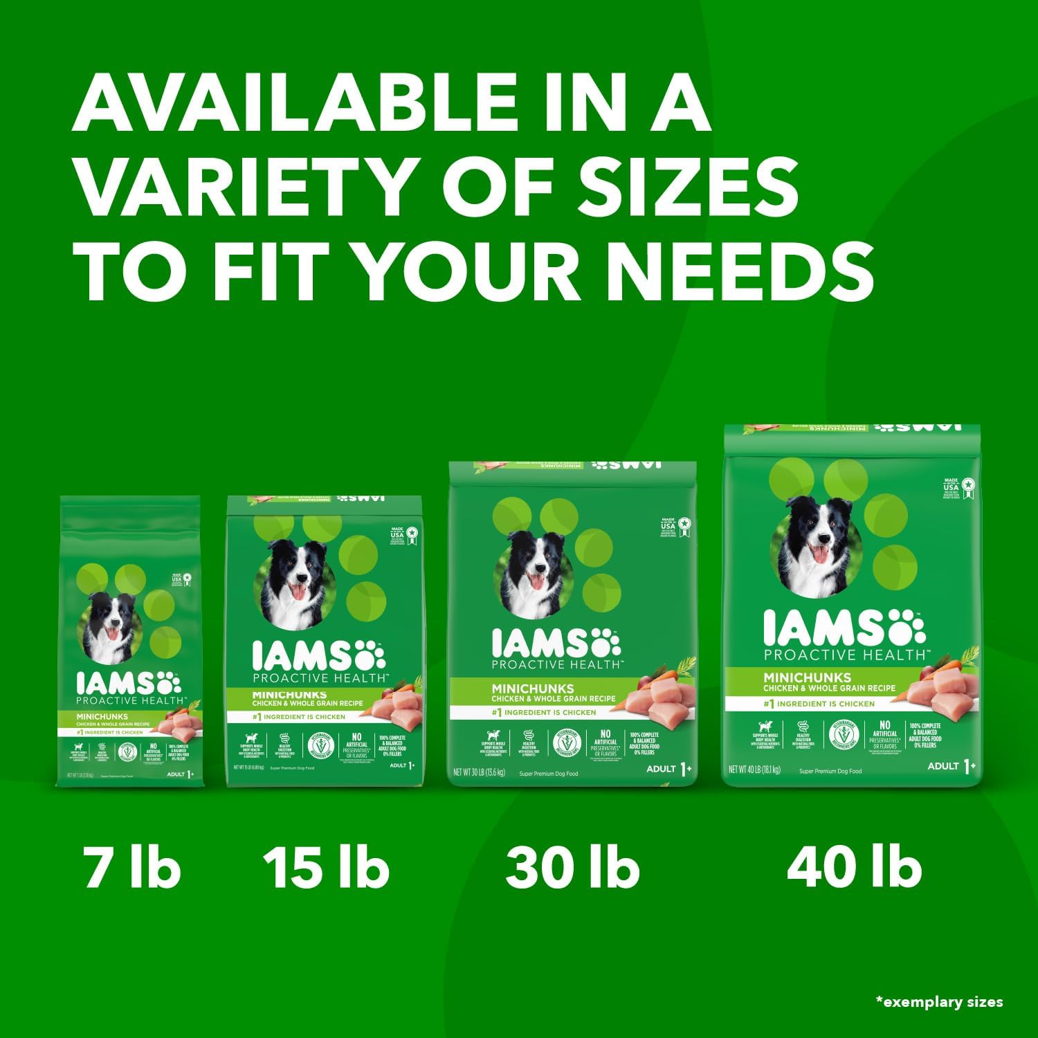 IAMS Proactive Health Minichunks Adult Dry Dog Food with Real Chicken, 30 lb. Bag13