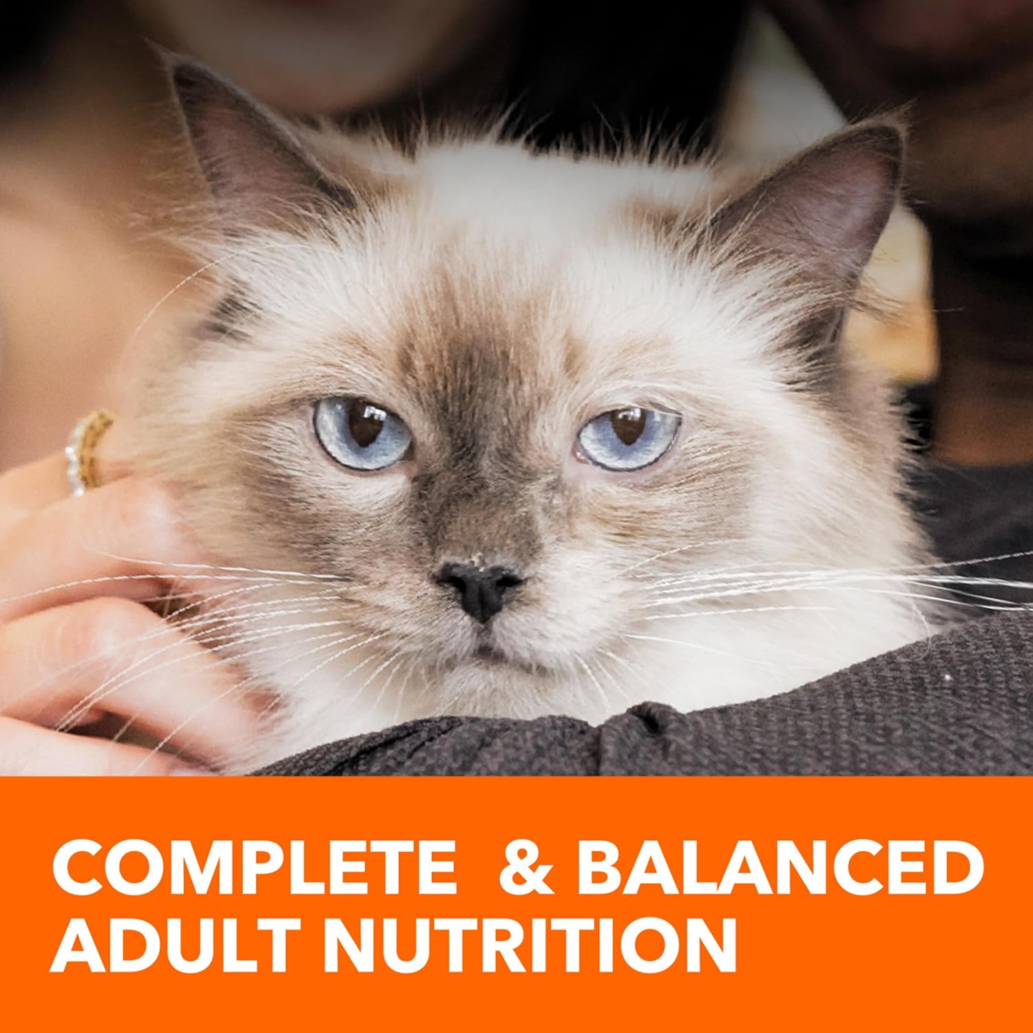 Iams Proactive Health Adult Indoor Weight & Hairball Care Dry Cat Food with Salmon, 16 lb. Bag0