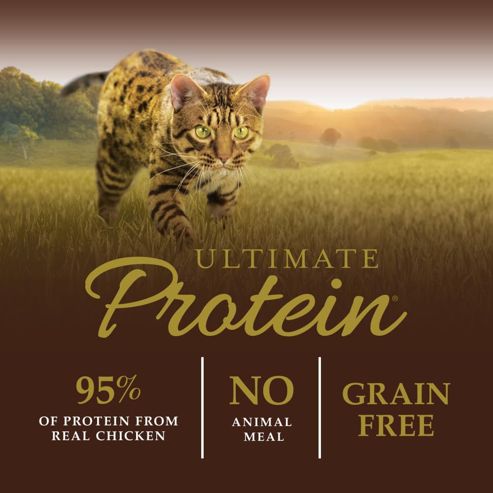 Instinct Ultimate Protein Grain Free Cage Free Chicken Recipe Natural Dry Cat Food, 10 lb. Bag4