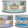 Merrick Purrfect Bistro Grain Free Premium Canned Pate Adult Wet Cat Food, Variety Pack Seafood Recipes - (Pack of 24) 5.5 oz. Cans