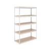 MonsterRax Steel Heavy Duty 5-Tier Utility Shelving Unit (48-in W x 18-in D x 72-in H) White, (300-lb Capacity Per Shelf)