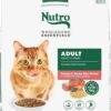 NUTRO WHOLESOME ESSENTIALS Adult Natural Dry Cat Food Salmon & Brown Rice Recipe, 14 lb. Bag