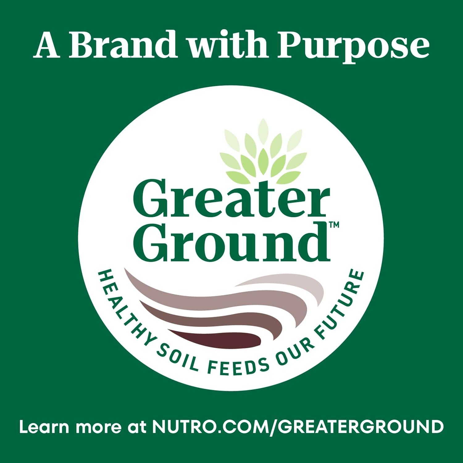 NUTRO WHOLESOME ESSENTIALS Adult Natural Dry Cat Food Salmon & Brown Rice Recipe, 14 lb. Bag44