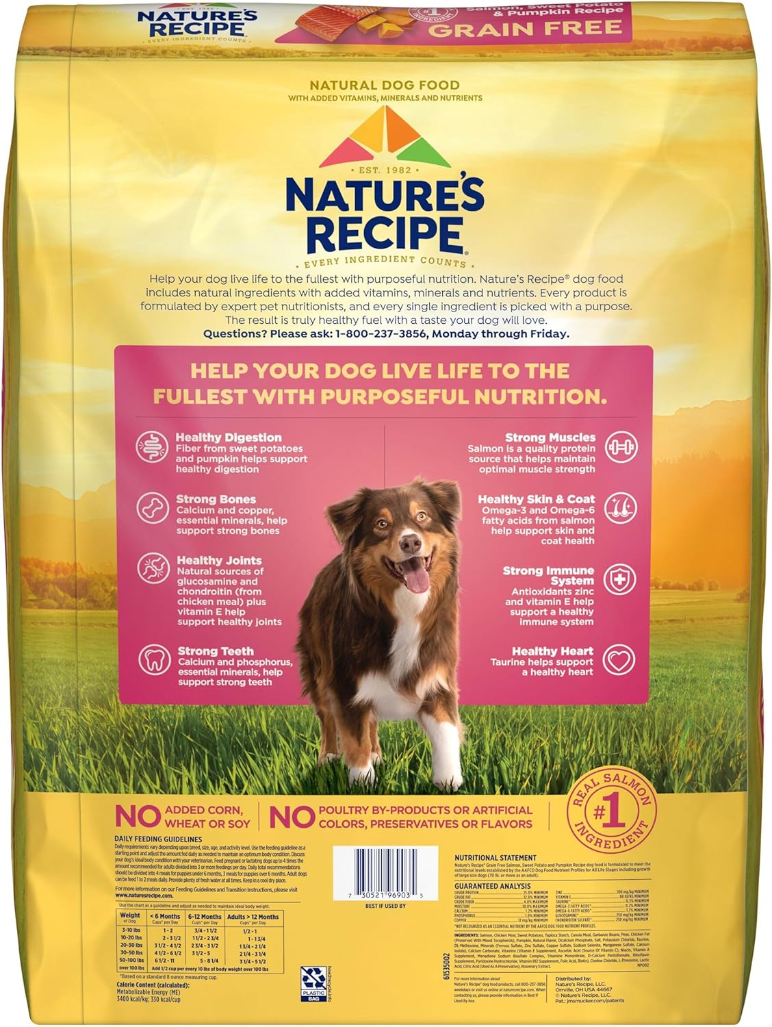 Nature′s Recipe Grain Free Salmon, Sweet Potato & Pumpkin Recipe Dry Dog Food, 34 lb. Bag3