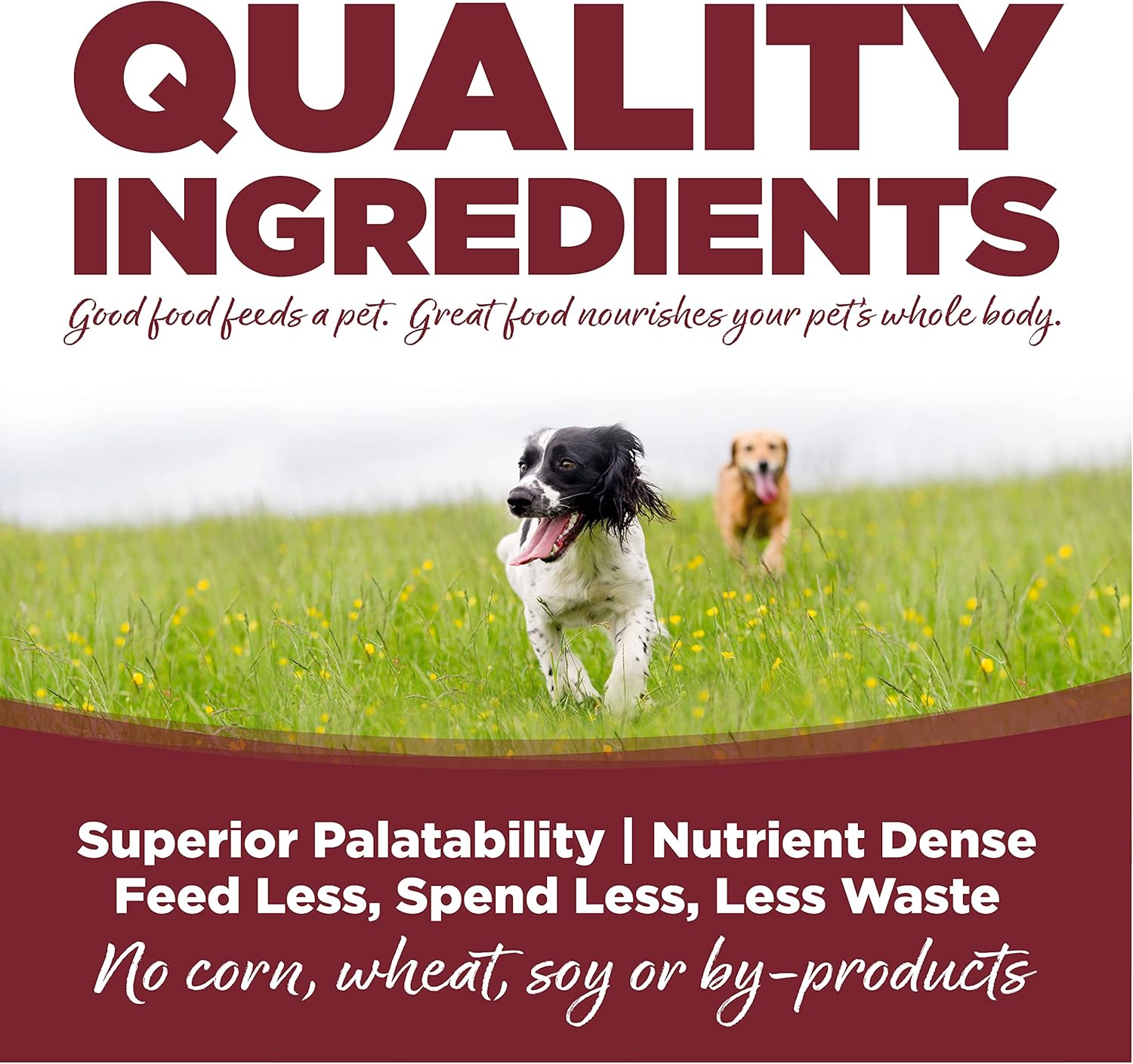 NutriSource Dog Food, Made with Beef and Brown Rice, with Wholesome Grains, 30LB, Dry Dog Food6