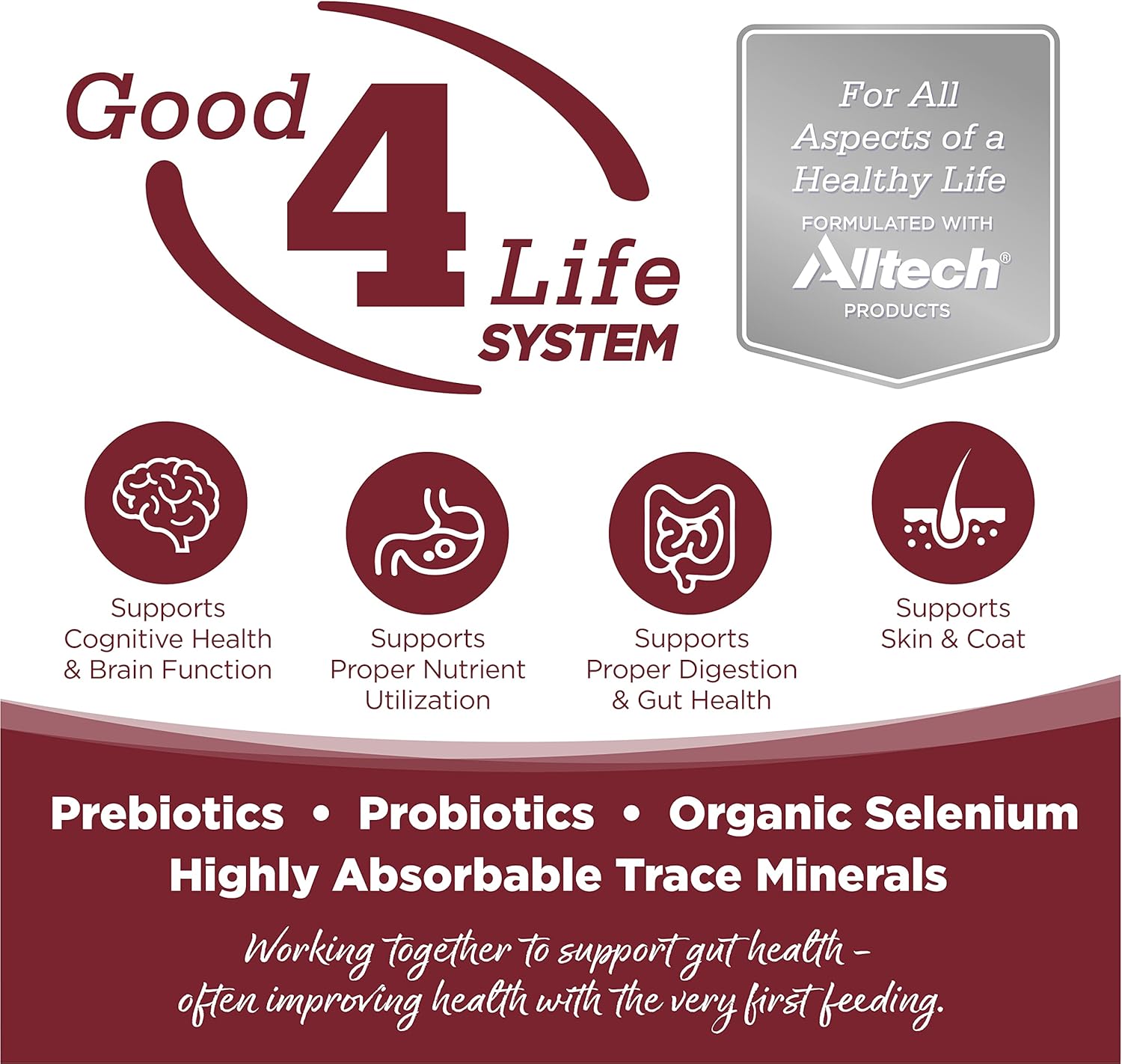 NutriSource Dry Dog Food, Beef and Rice, 26LB1