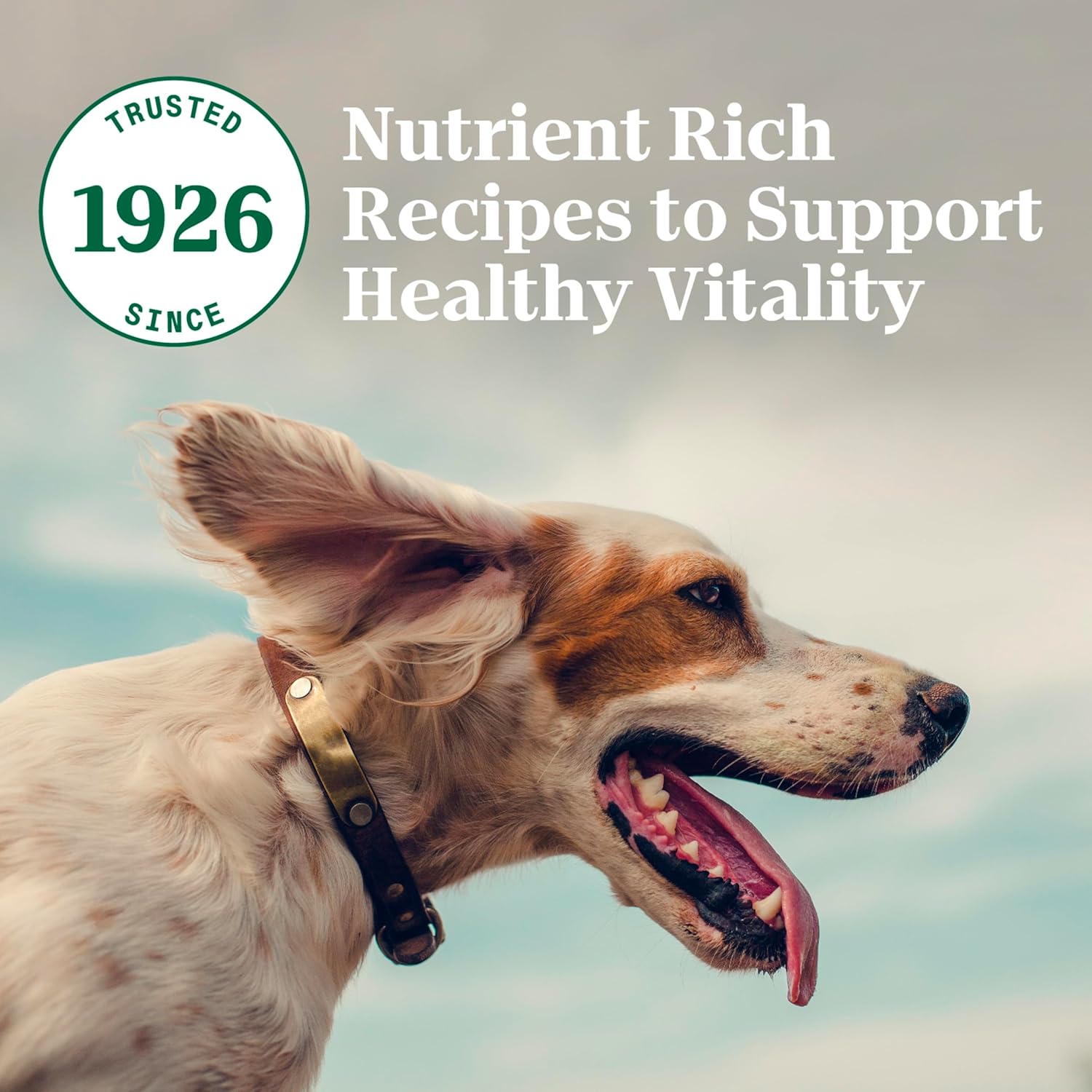Nutro Natural Choice Small Bites Adult Dry Dog Food, Chicken and Brown Rice Recipe, 13 lbs.187