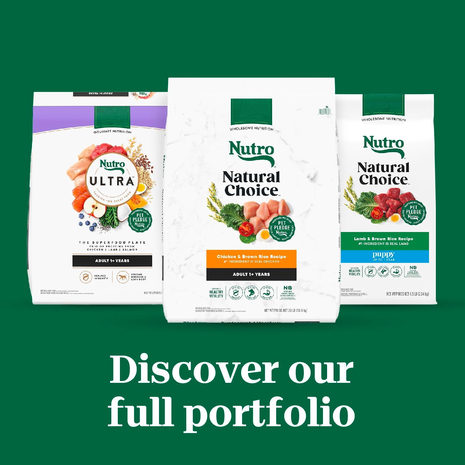 Nutro Natural Choice Small Bites Adult Dry Dog Food, Lamb and Brown Rice Recipe, 12 lbs.0