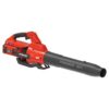 PRORUN PBL260H 810-CFM 190-MPH Leaf Blower 5 Ah