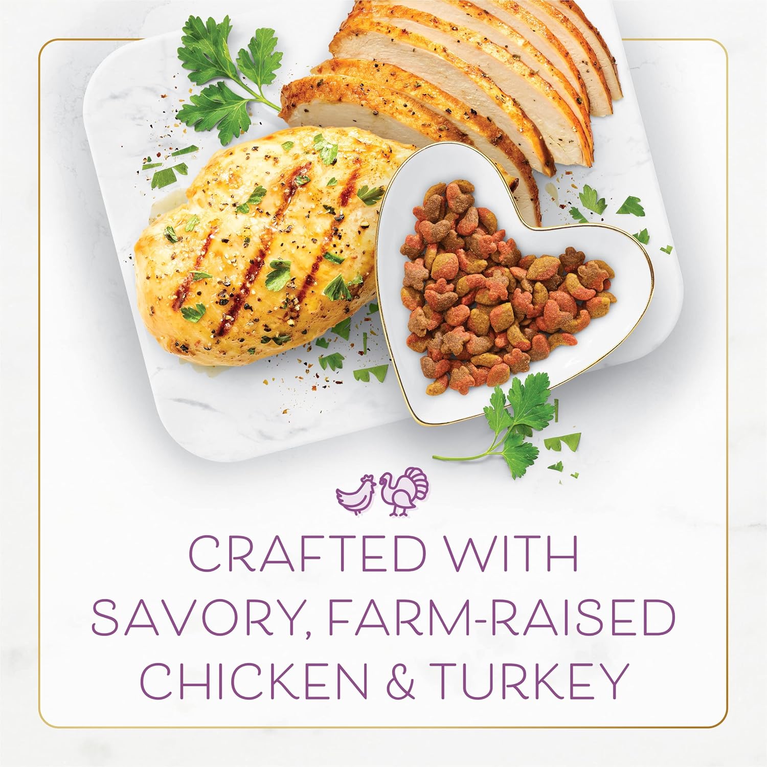 Purina Fancy Feast Dry Cat Food with Savory Farm-Raised Chicken and Turkey - 12 lb. Bag2