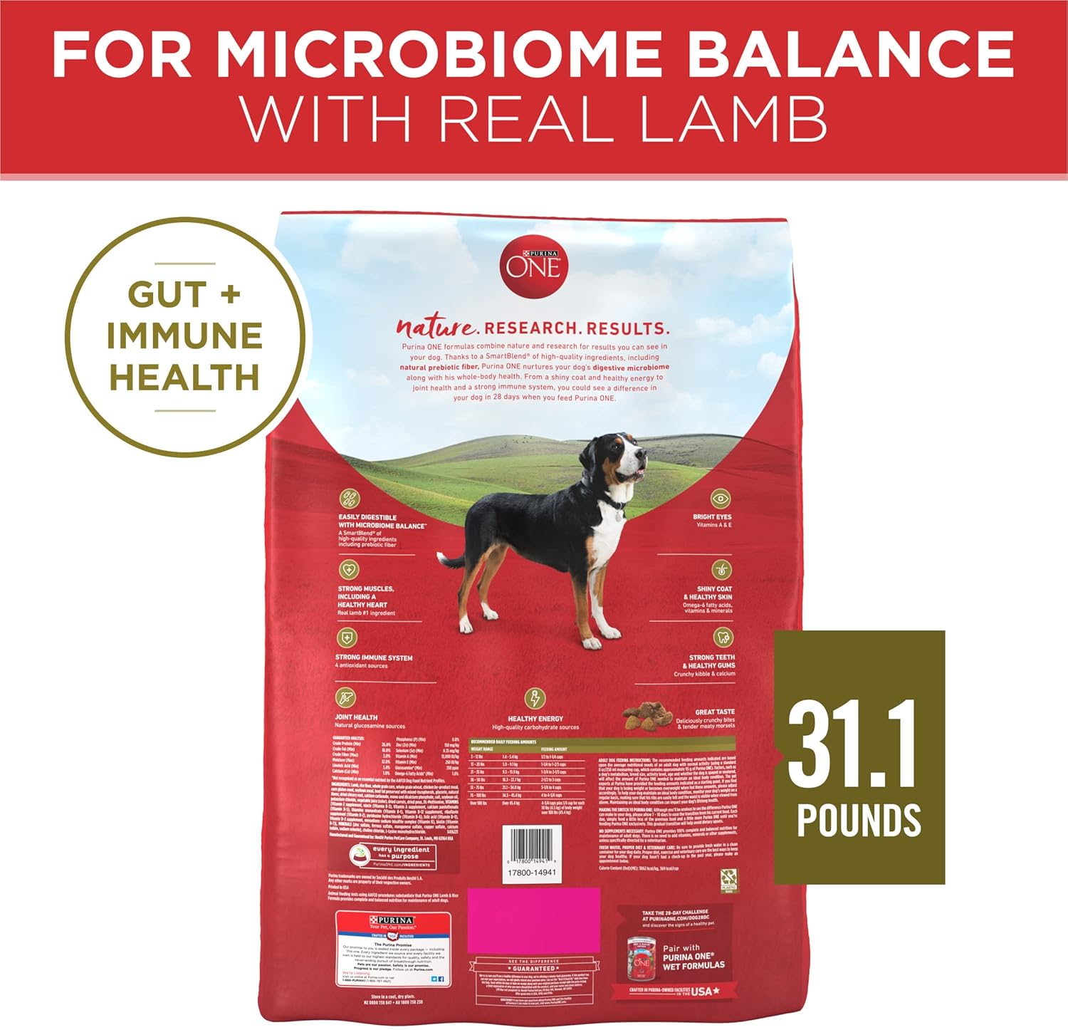 Purina ONE Dry Dog Food Lamb and Rice Formula - 31.1 lb. Bag7