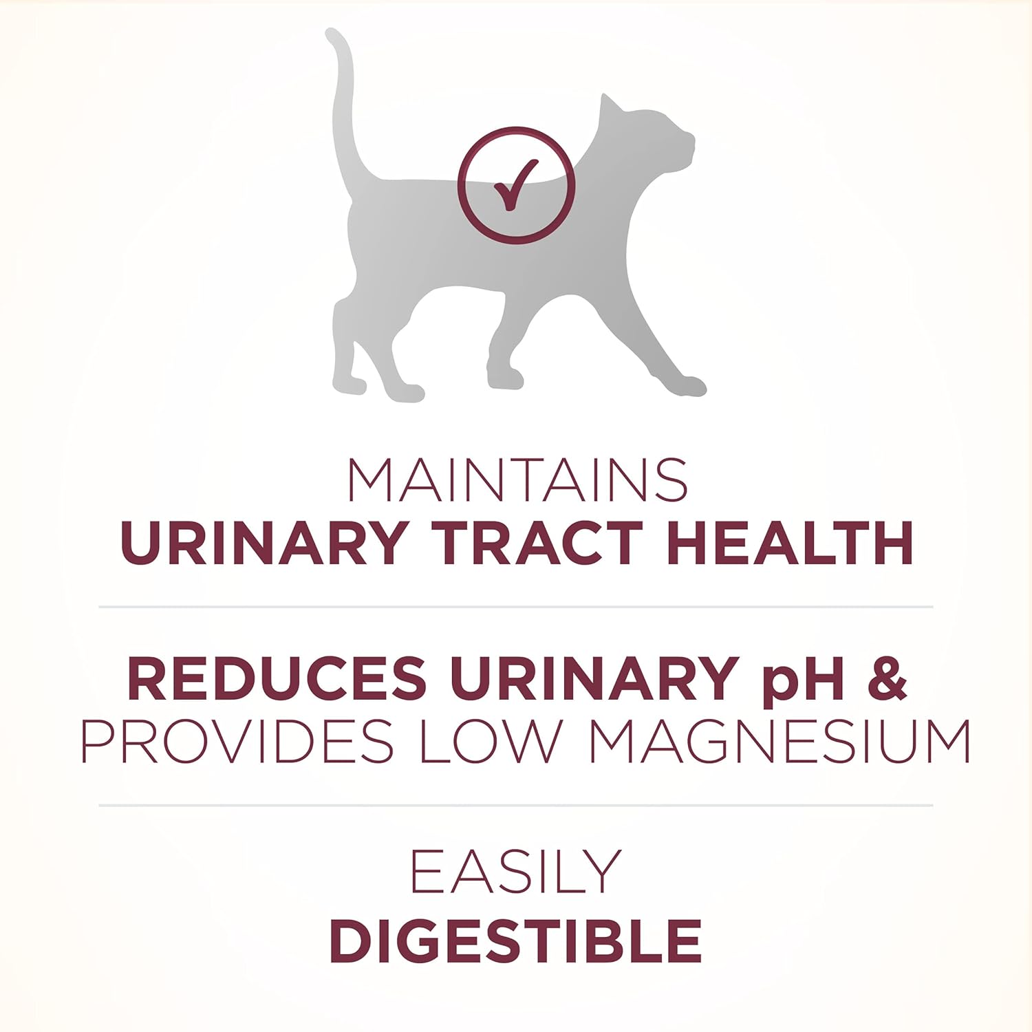Purina ONE High Protein Dry Cat Food, +Plus Urinary Tract Health Formula - 22 lb. Bag5