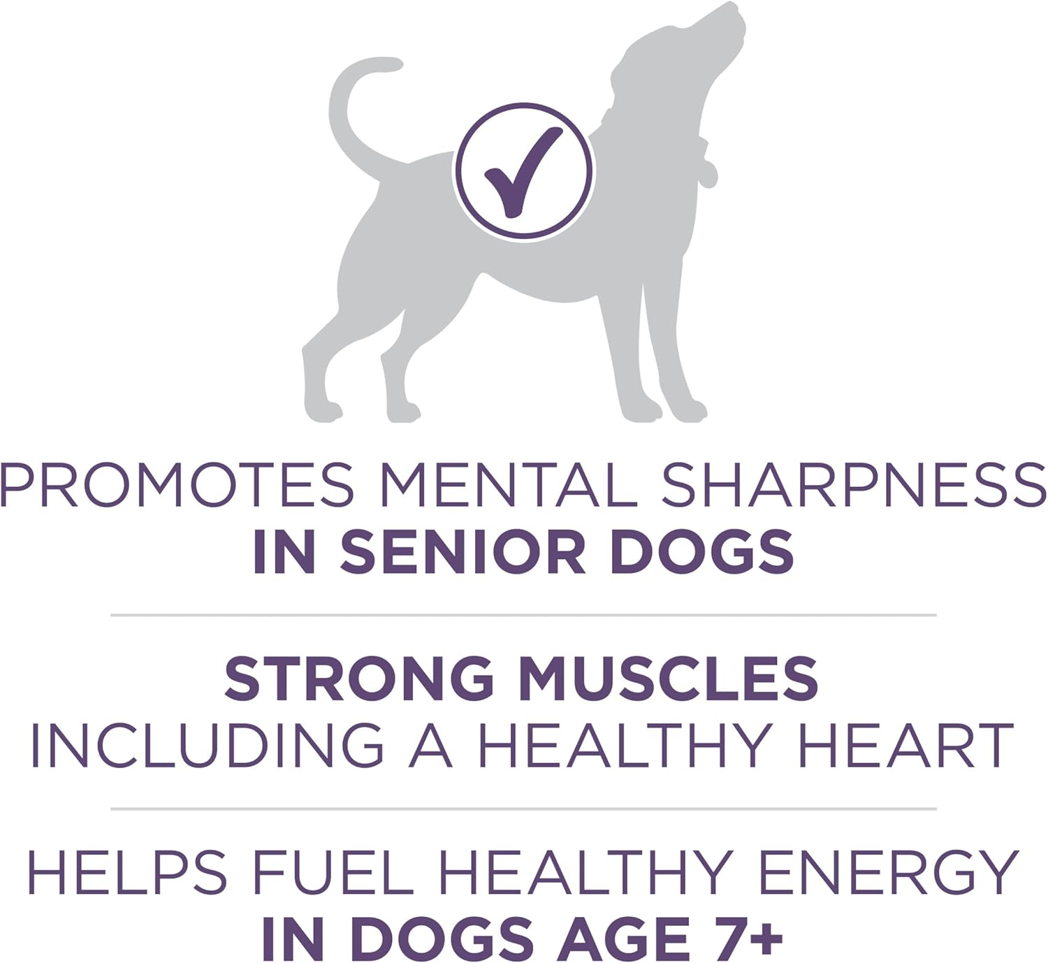 Purina ONE High Protein Dry Senior Dog Food Plus Vibrant Maturity Adult 7 Plus Formula - 31.1 lb. Bag3