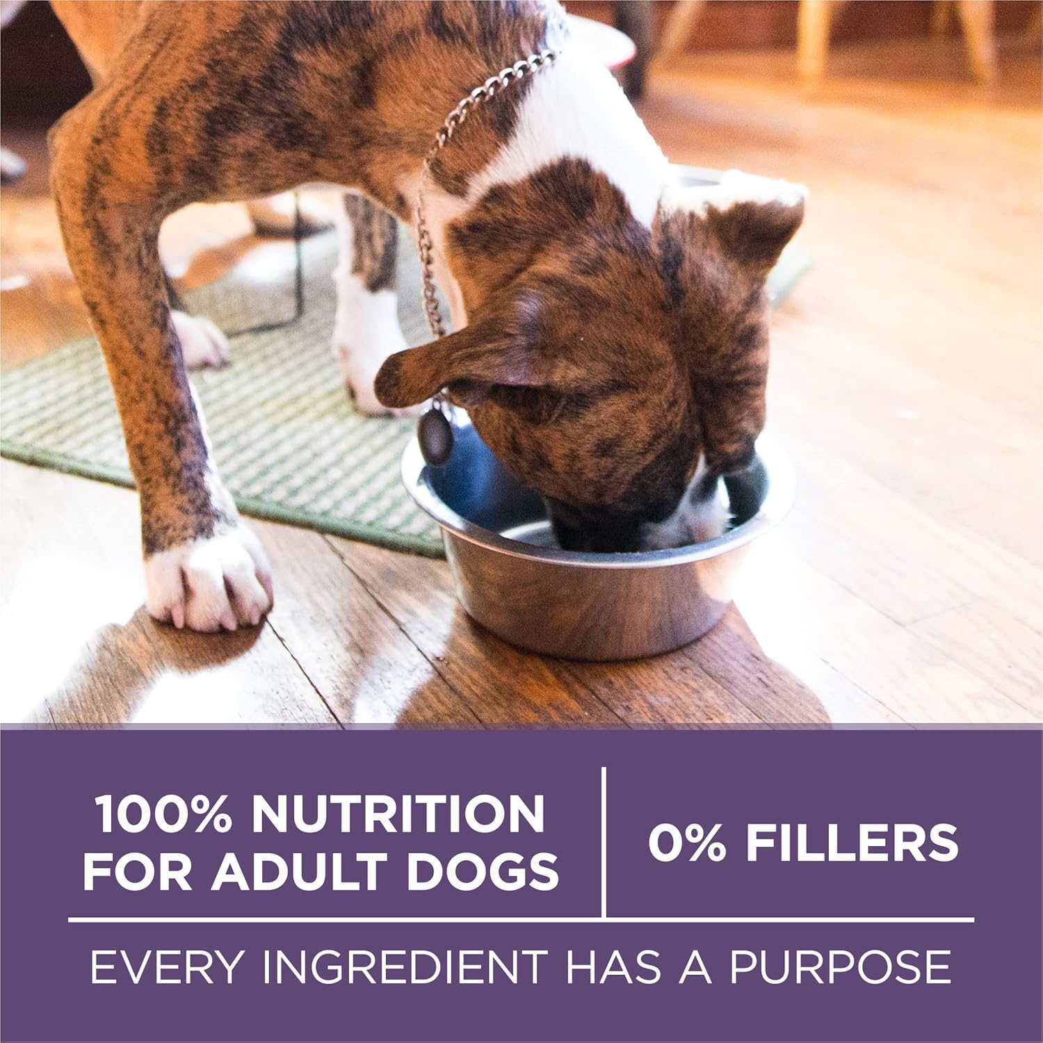 Purina ONE High Protein Dry Senior Dog Food Plus Vibrant Maturity Adult 7 Plus Formula - 31.1 lb. Bag8
