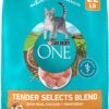 Purina ONE Natural Dry Cat Food, Tender Selects Blend With Real Chicken - 22 lb. Bag