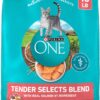 Purina ONE Natural Dry Cat Food, Tender Selects Blend With Real Salmon - 16 lb. Bag