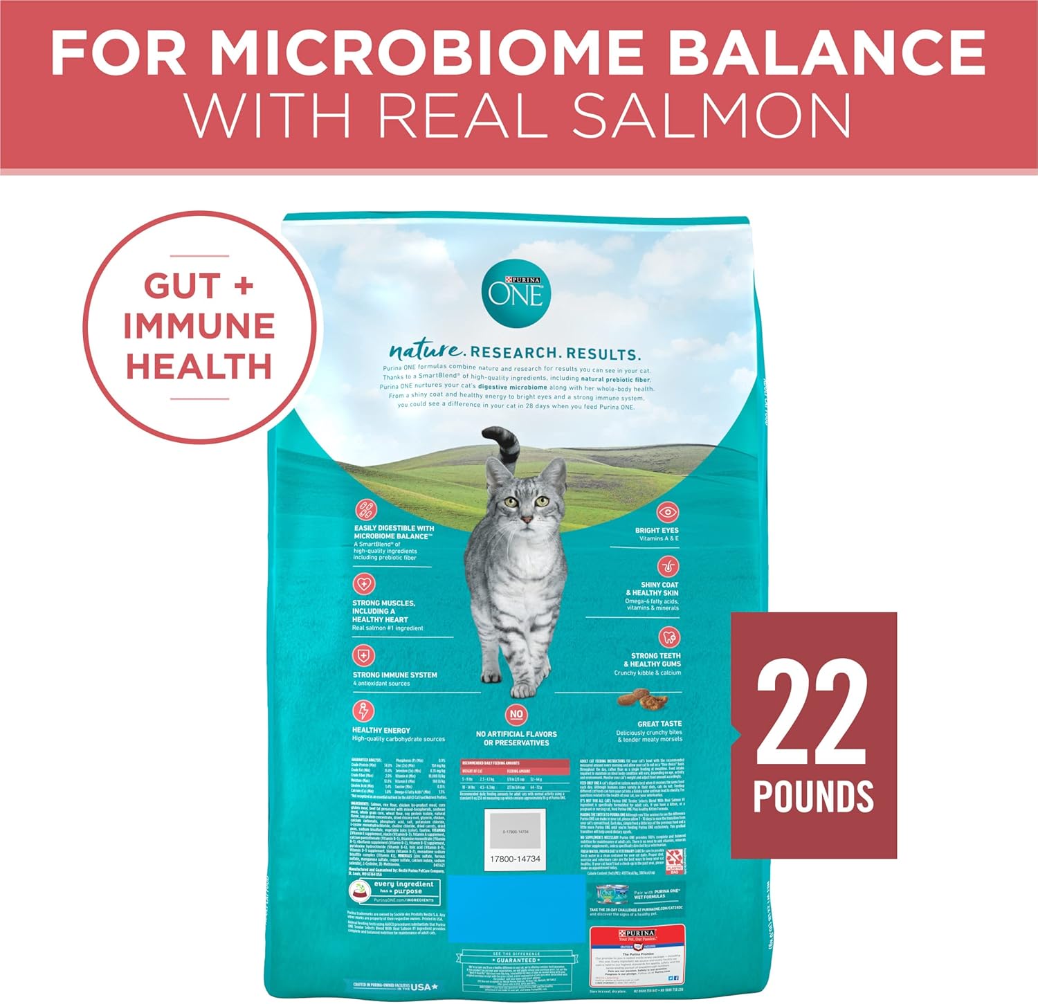 Purina ONE Natural Dry Cat Food, Tender Selects Blend with Real Salmon - 22 lb. Bag0