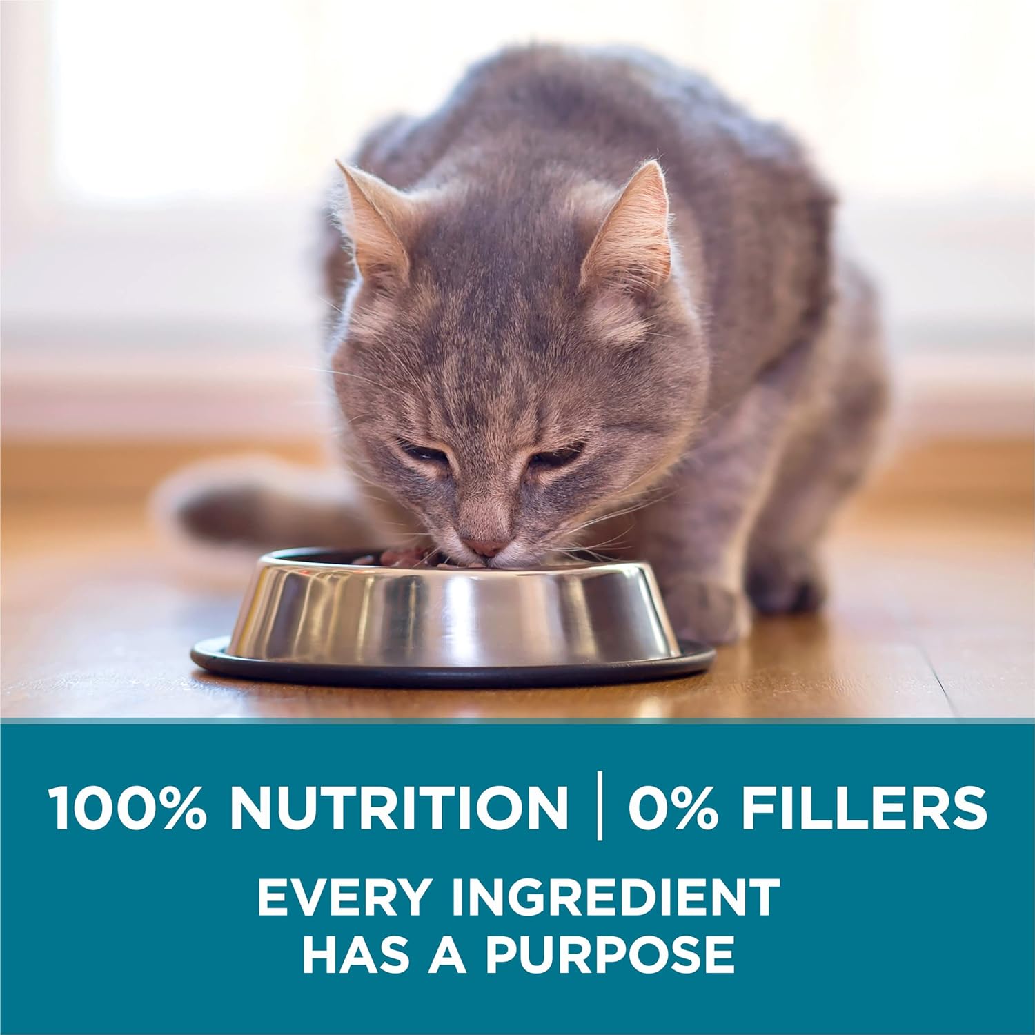 Purina ONE Natural Dry Cat Food, Tender Selects Blend with Real Salmon - 22 lb. Bag11