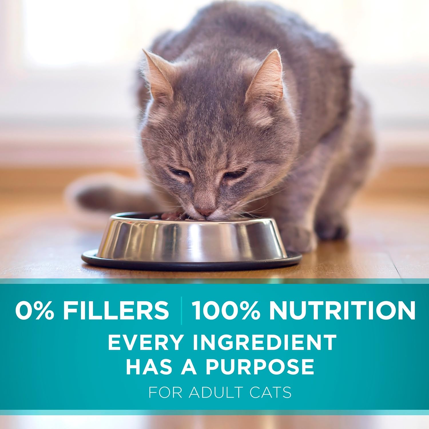 Purina ONE Natural Dry Cat Food, Tender Selects Blend with Real Salmon - 22 lb. Bag16