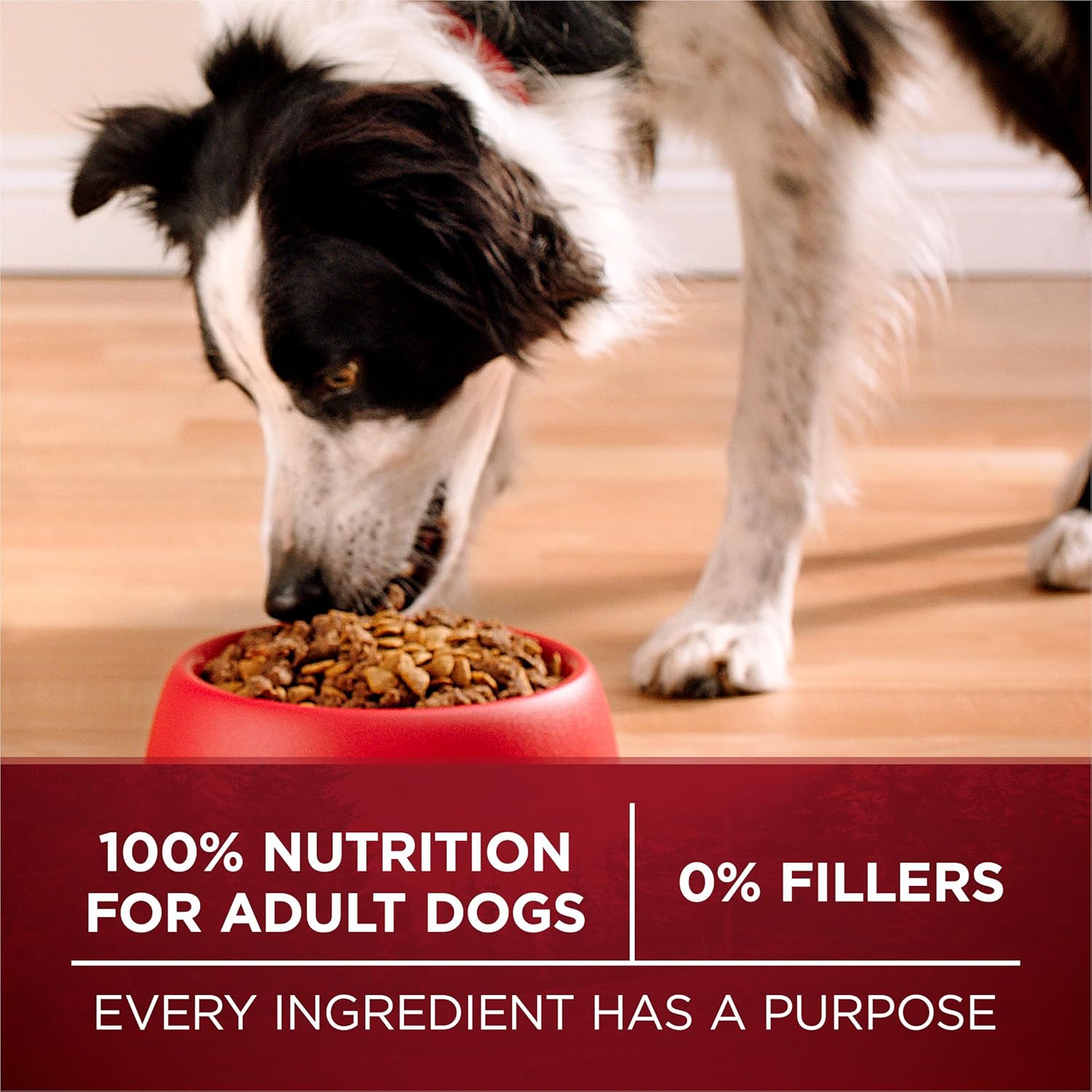 Purina ONE Natural High Protein Dry Dog Food Dry True Instinct with Real Beef and Salmon With Bone Broth and Added Vitamins, Minerals and Nutrients - 15 lb. Bag0