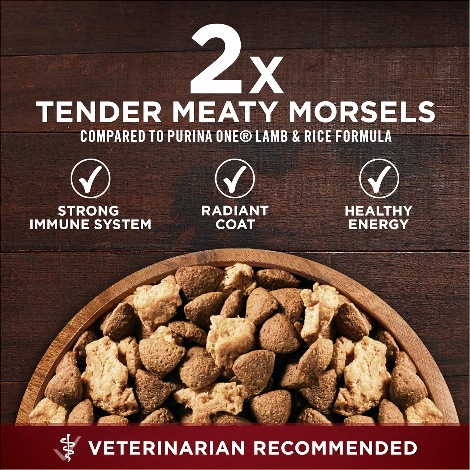 Purina ONE Natural High Protein Dry Dog Food Dry True Instinct with Real Beef and Salmon With Bone Broth and Added Vitamins, Minerals and Nutrients - 15 lb. Bag1