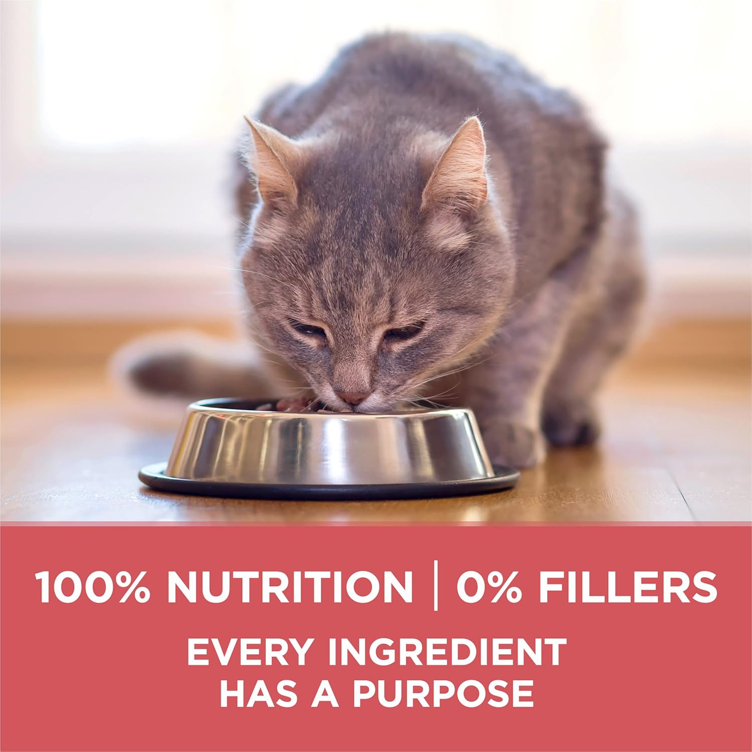 Purina ONE Natural Low Fat, Indoor Dry Weight Control High Protein Cat Food Plus Indoor Advantage with Real Salmon - 16 lb. Bag6