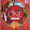 Purina ONE Natural, Sensitive Stomach Dry Dog Food, +Plus Skin & Coat Formula - 31.1 lb. Bag