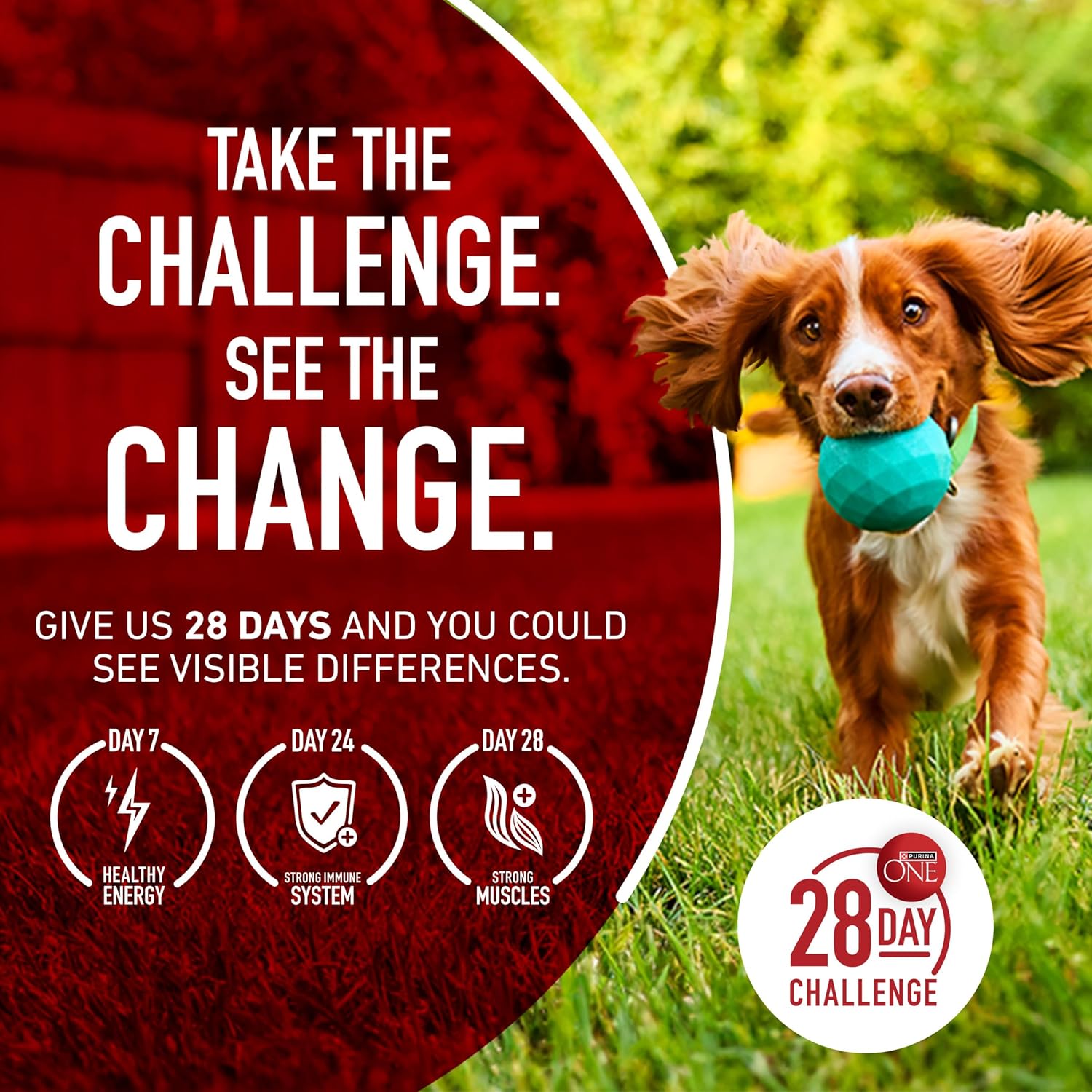 Purina ONE Natural, Sensitive Stomach Dry Dog Food, +Plus Skin & Coat Formula - 31.1 lb. Bag0